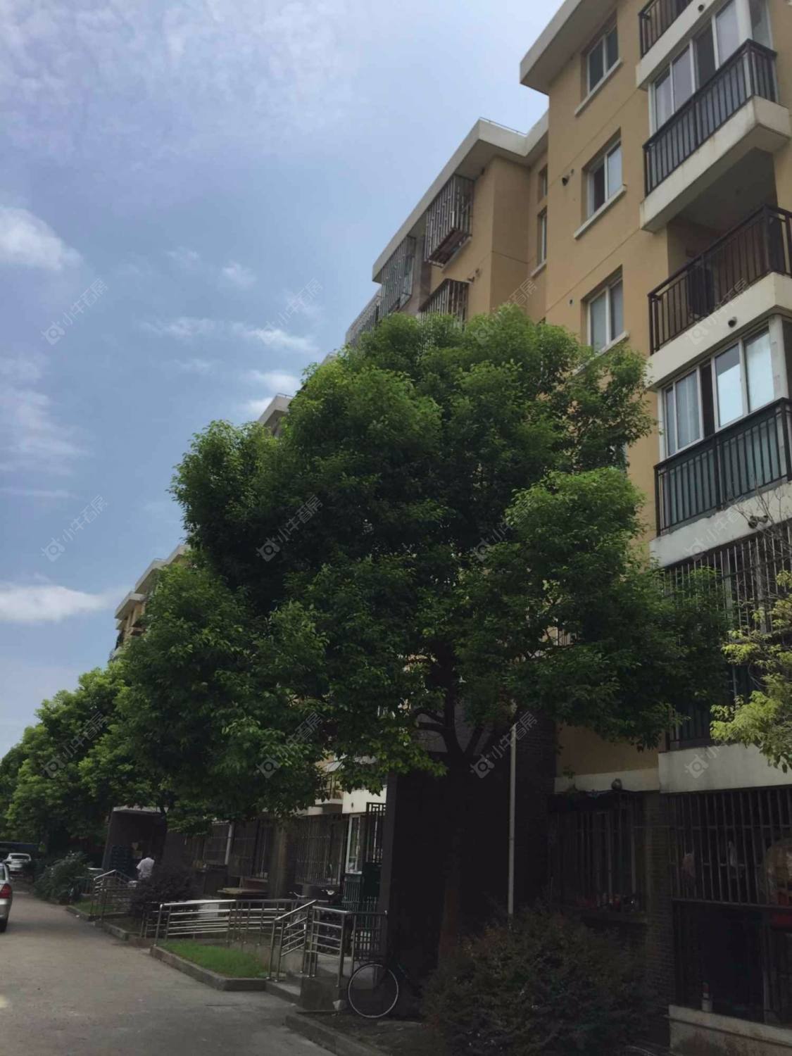 上海紫翠高清苑小区_紫翠高清苑小区null