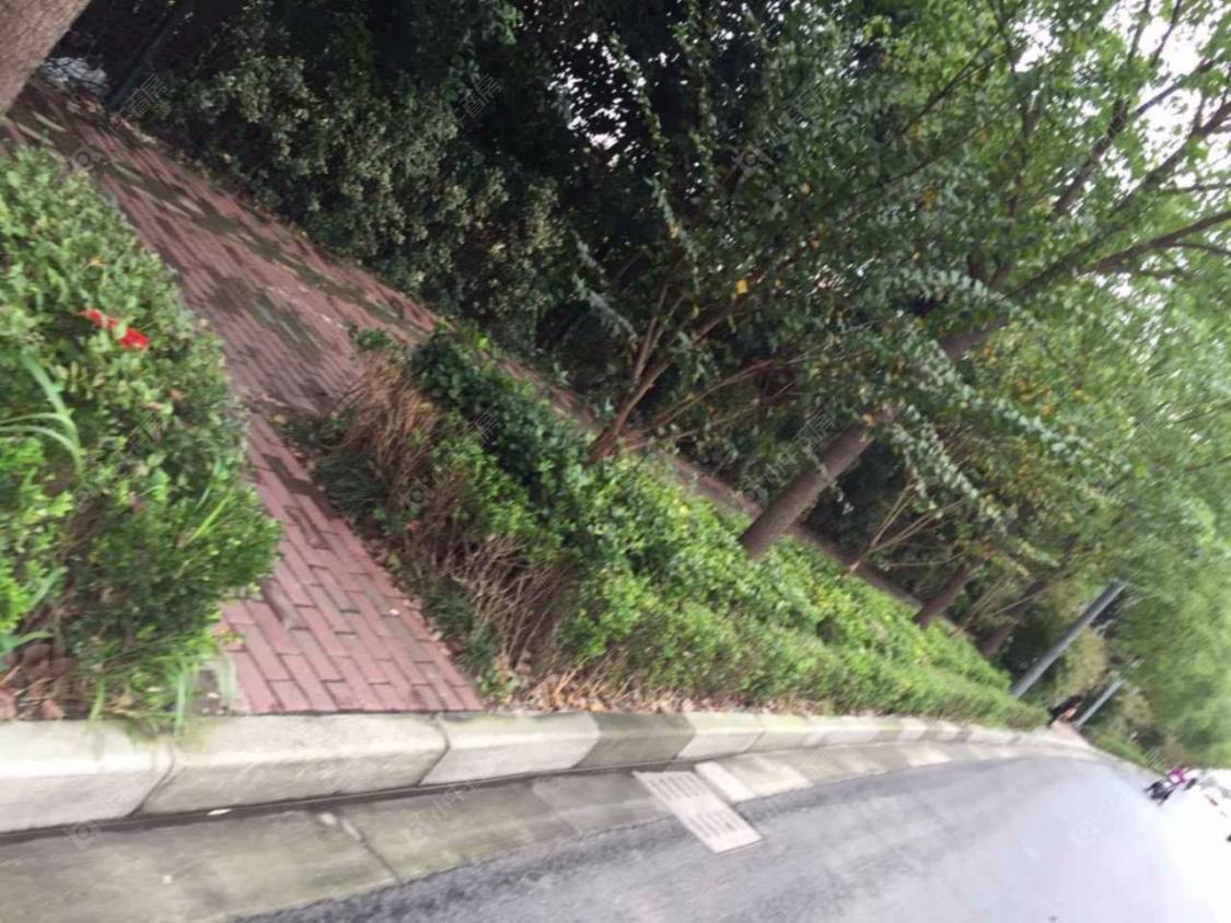 上海高境欣苑小区_高境欣苑小区null