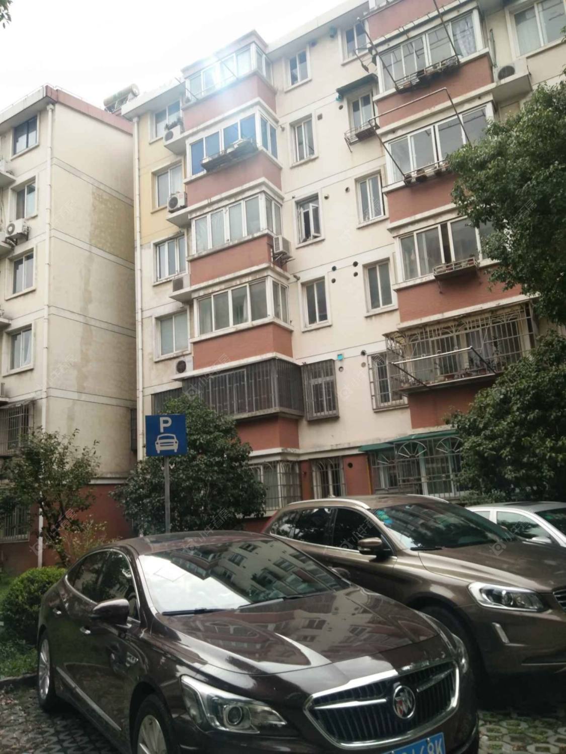 上海普陀金鼎公寓小区_普陀金鼎公寓小区null