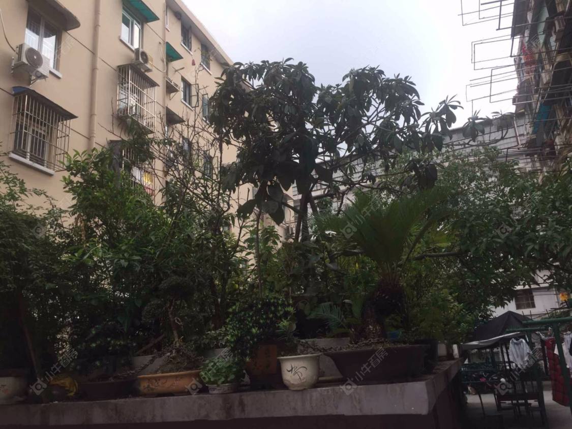 上海芷江中路363弄小区_小牛看房