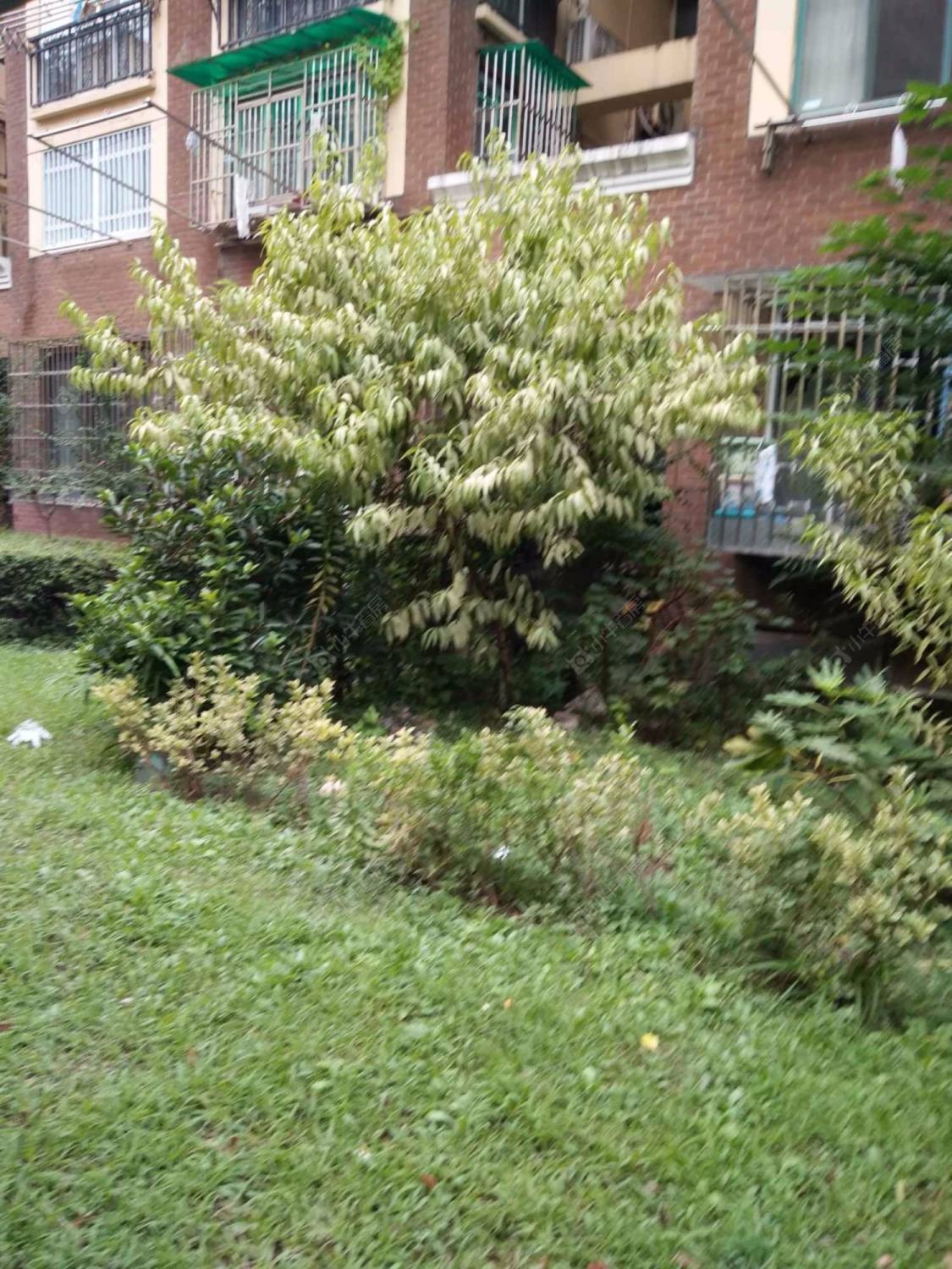 建德花园海棠苑封面图_小牛看房