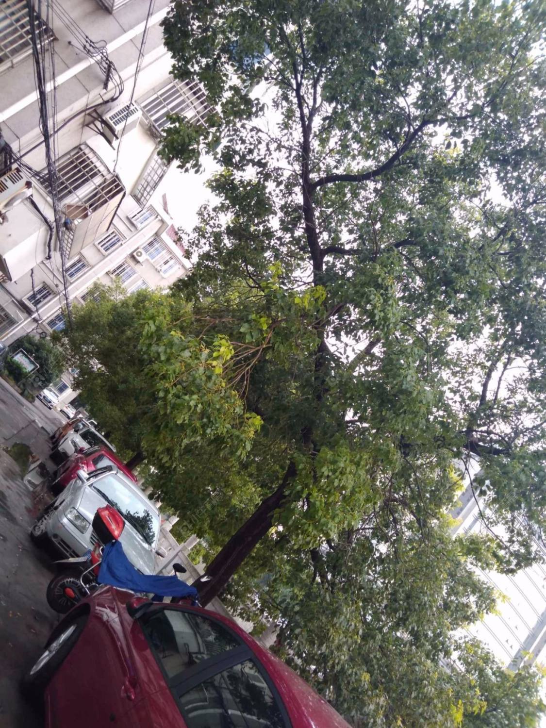 上海汇通新村小区_汇通新村小区null