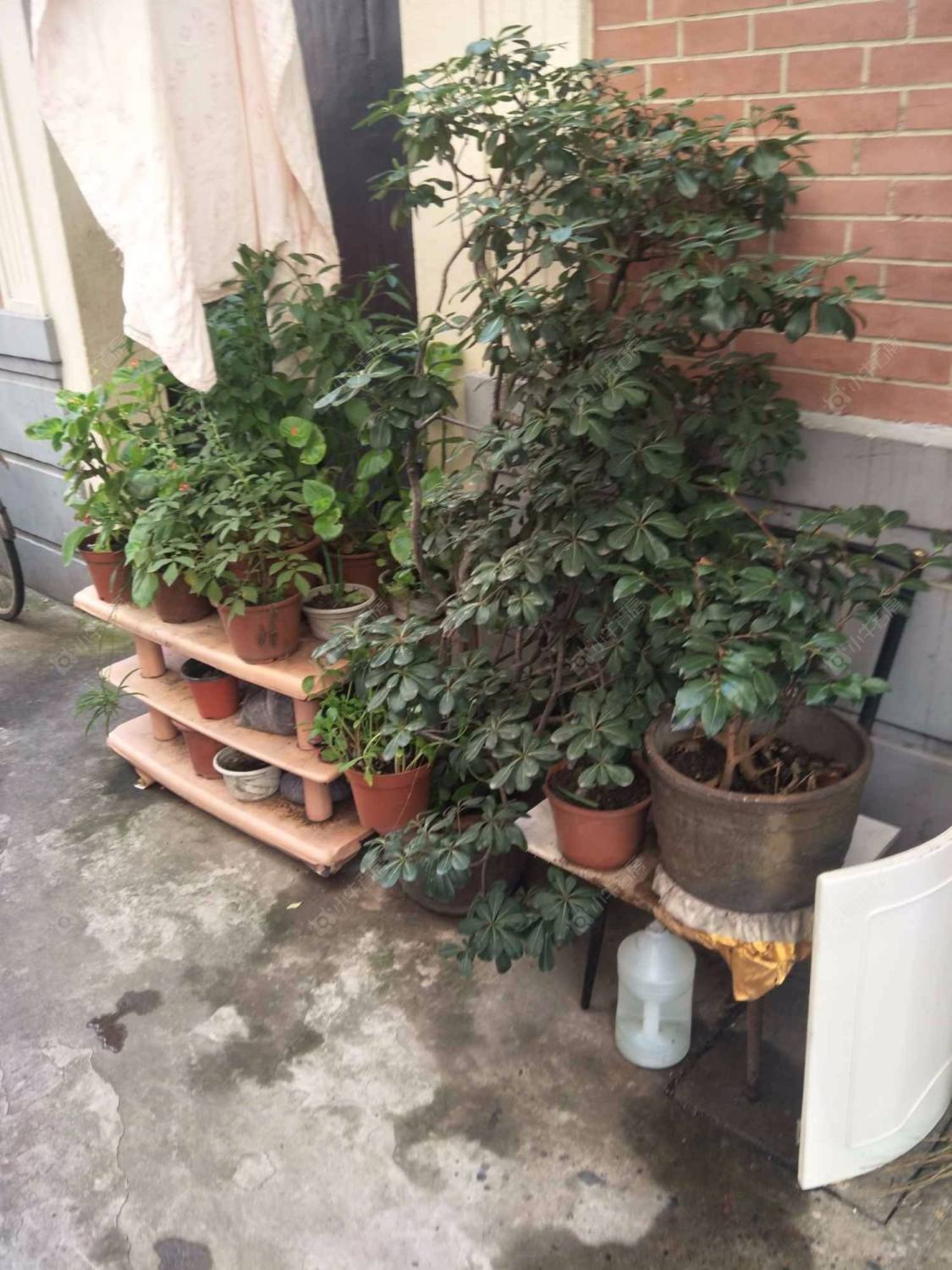 上海三徐里63弄小区_三徐里63弄小区null