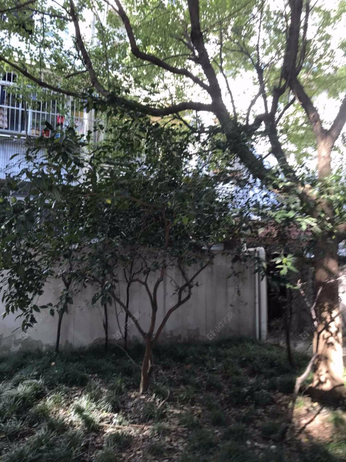 上海联城花苑小区_联城花苑小区null