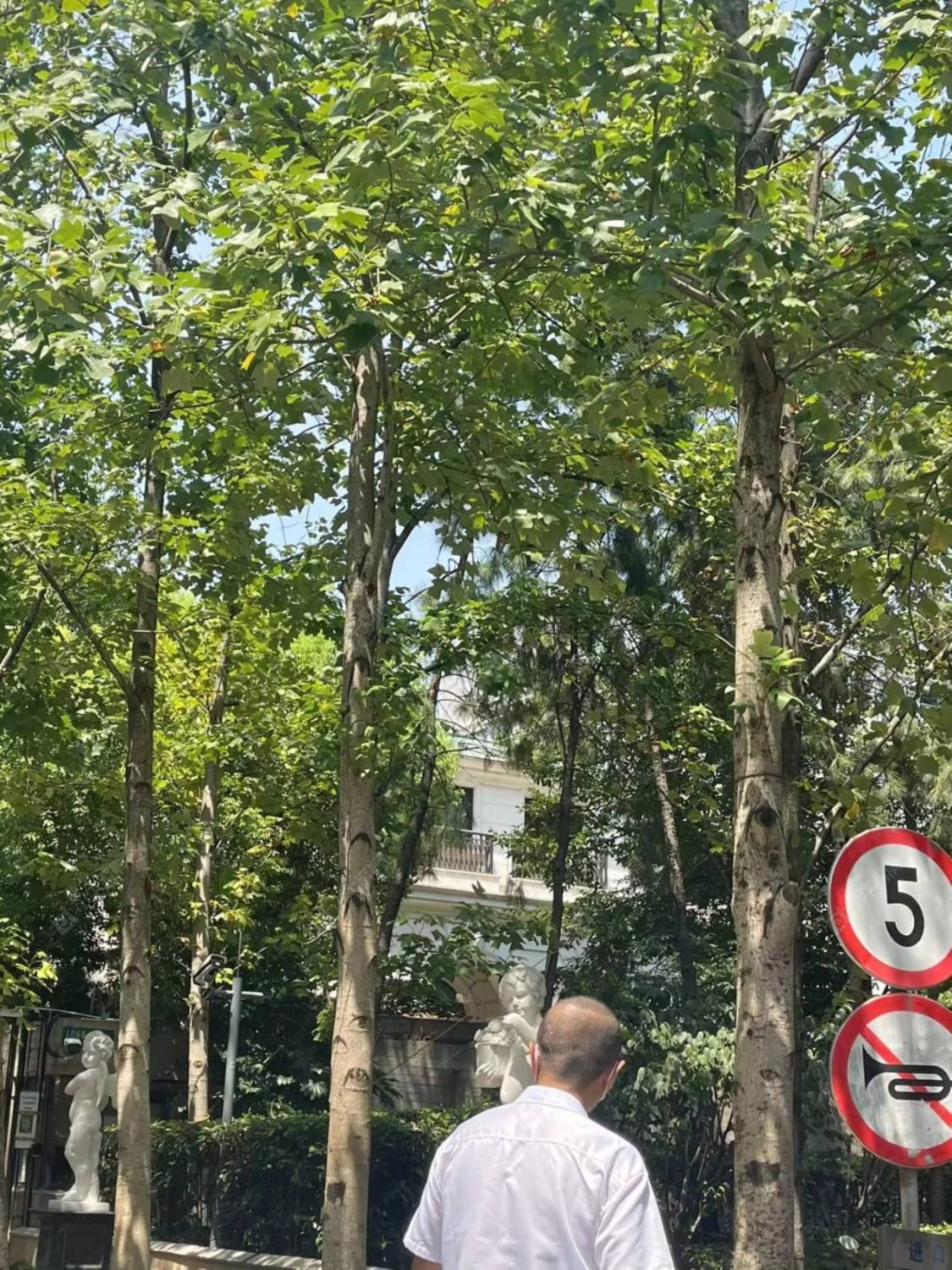 上海远中风华园别墅区小区_远中风华园别墅区小区null