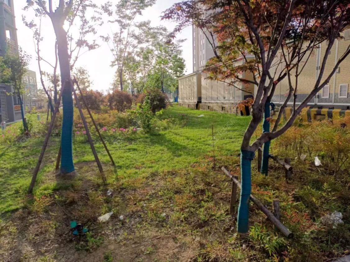 上海远洋财富中心小区_远洋财富中心小区null