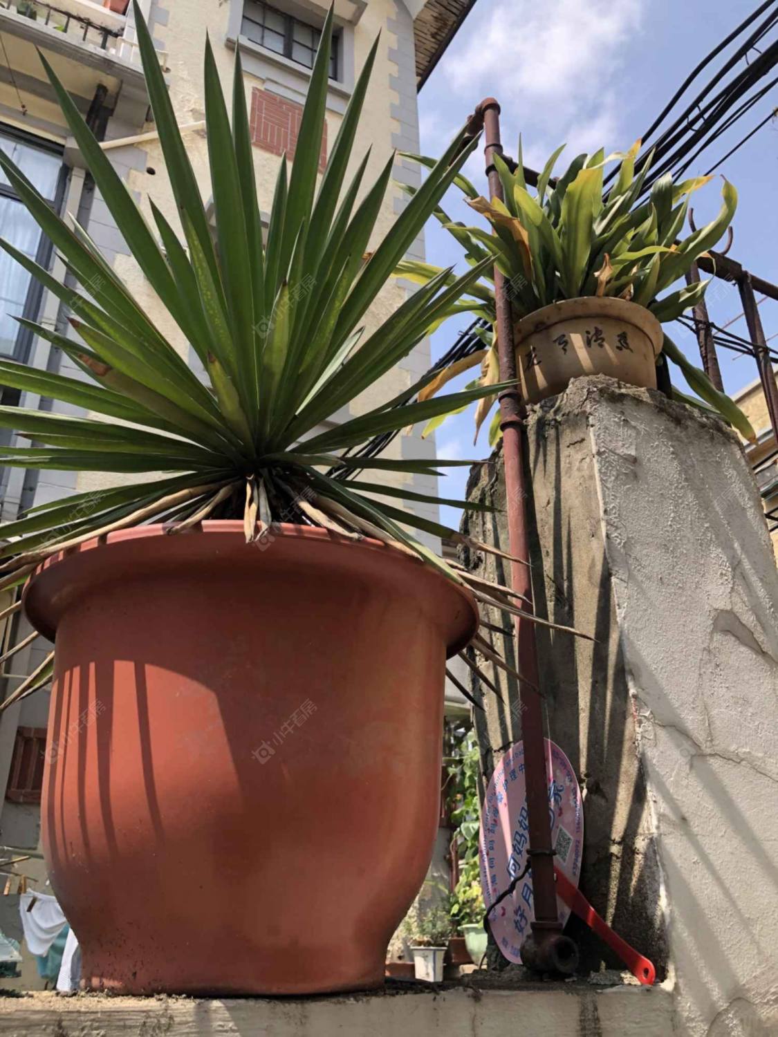 上海绍兴路36弄小区_绍兴路36弄小区null