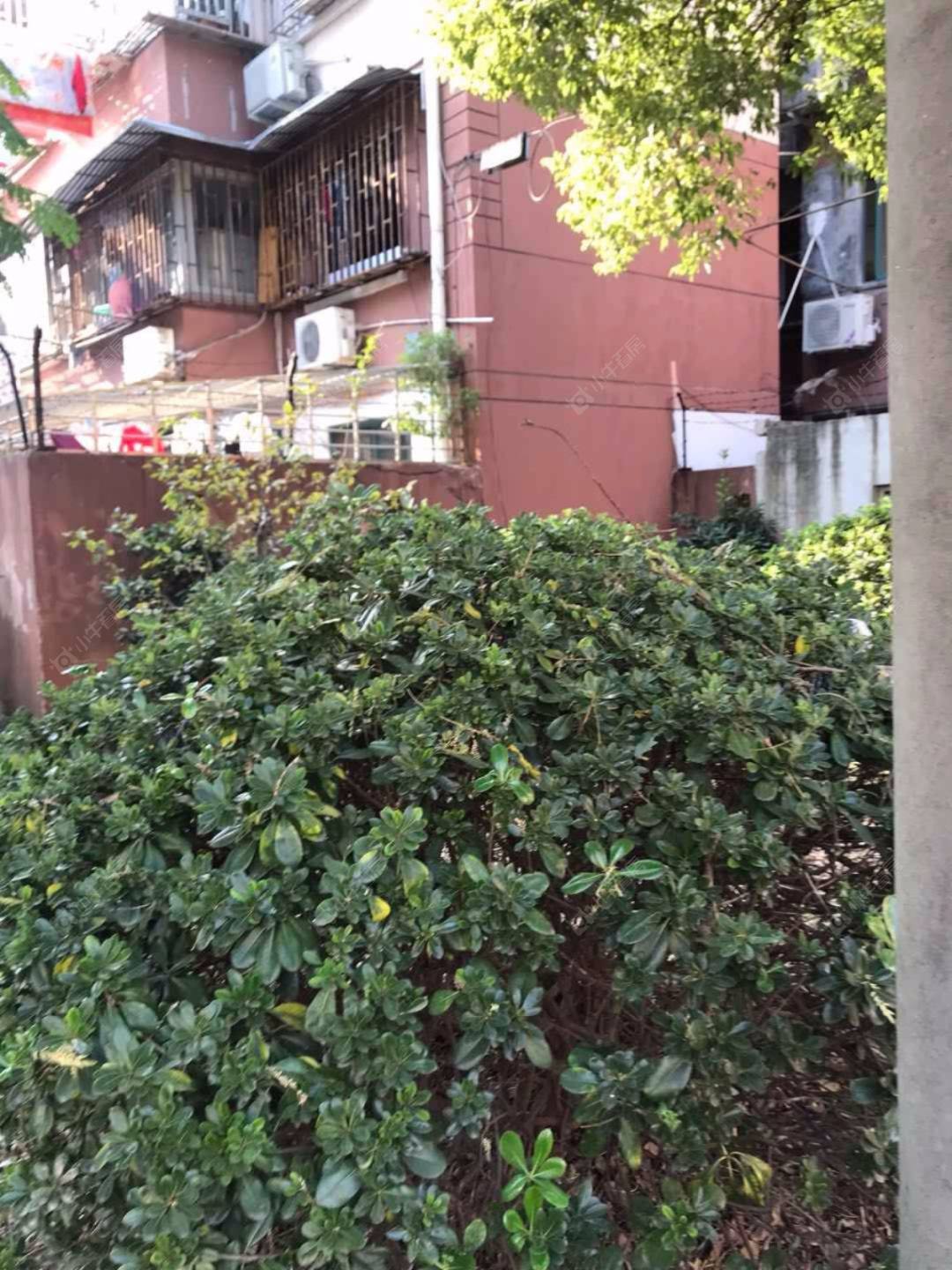 鹏海东苑封面图_小牛看房