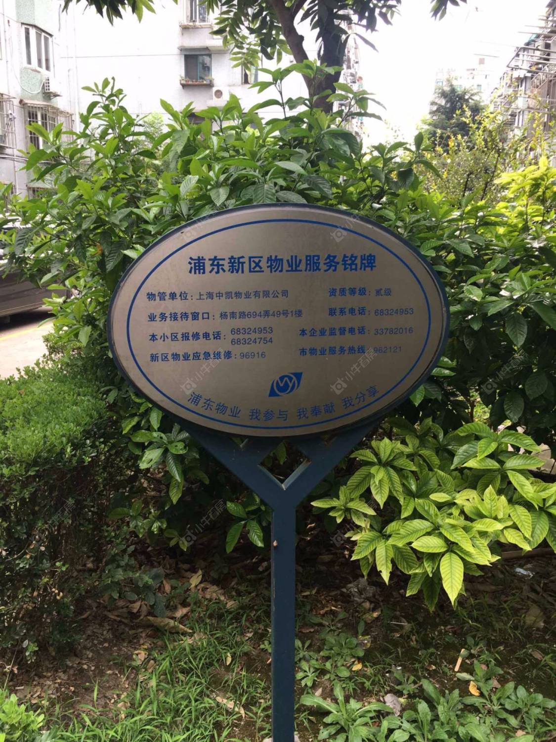 绿茵苑(浦东)封面图_小牛看房