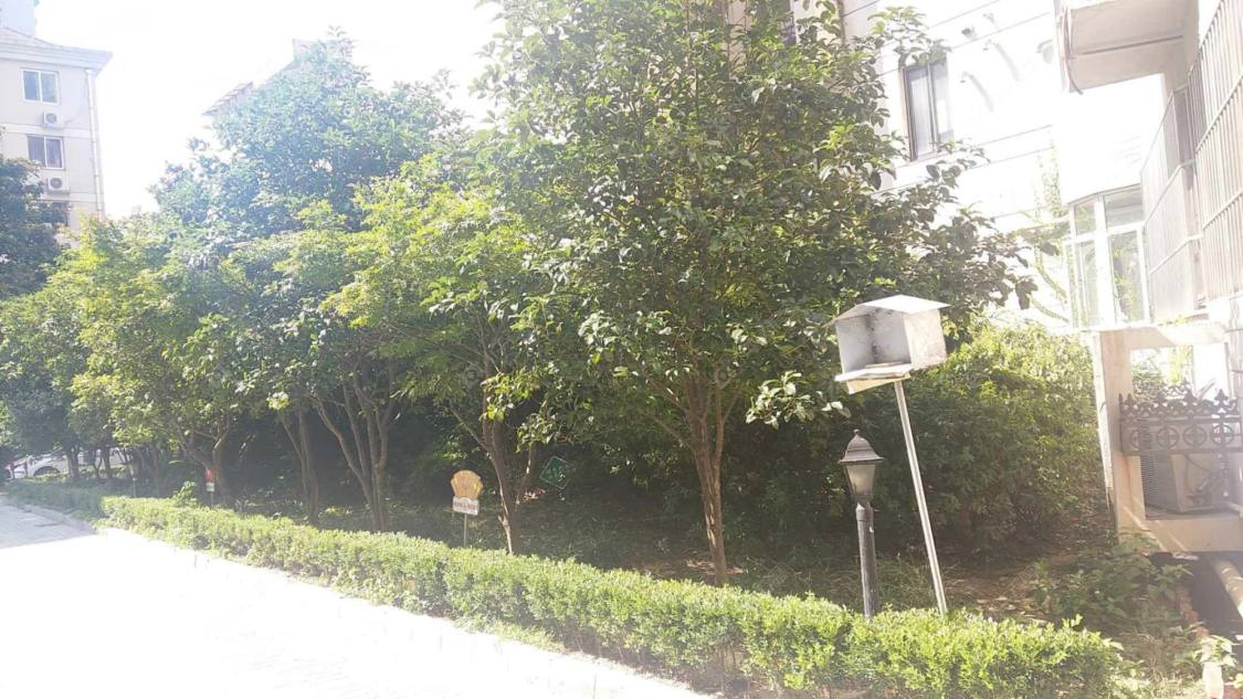 爱中爱华公寓封面图_小牛看房