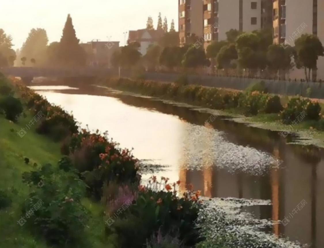 上海振新佳苑小区_振新佳苑小区null