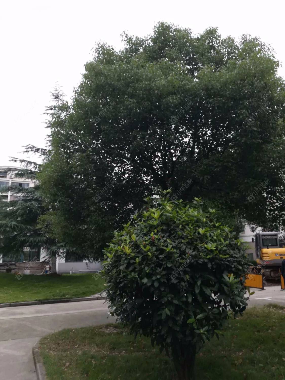 上海欣连苑小区_小牛看房