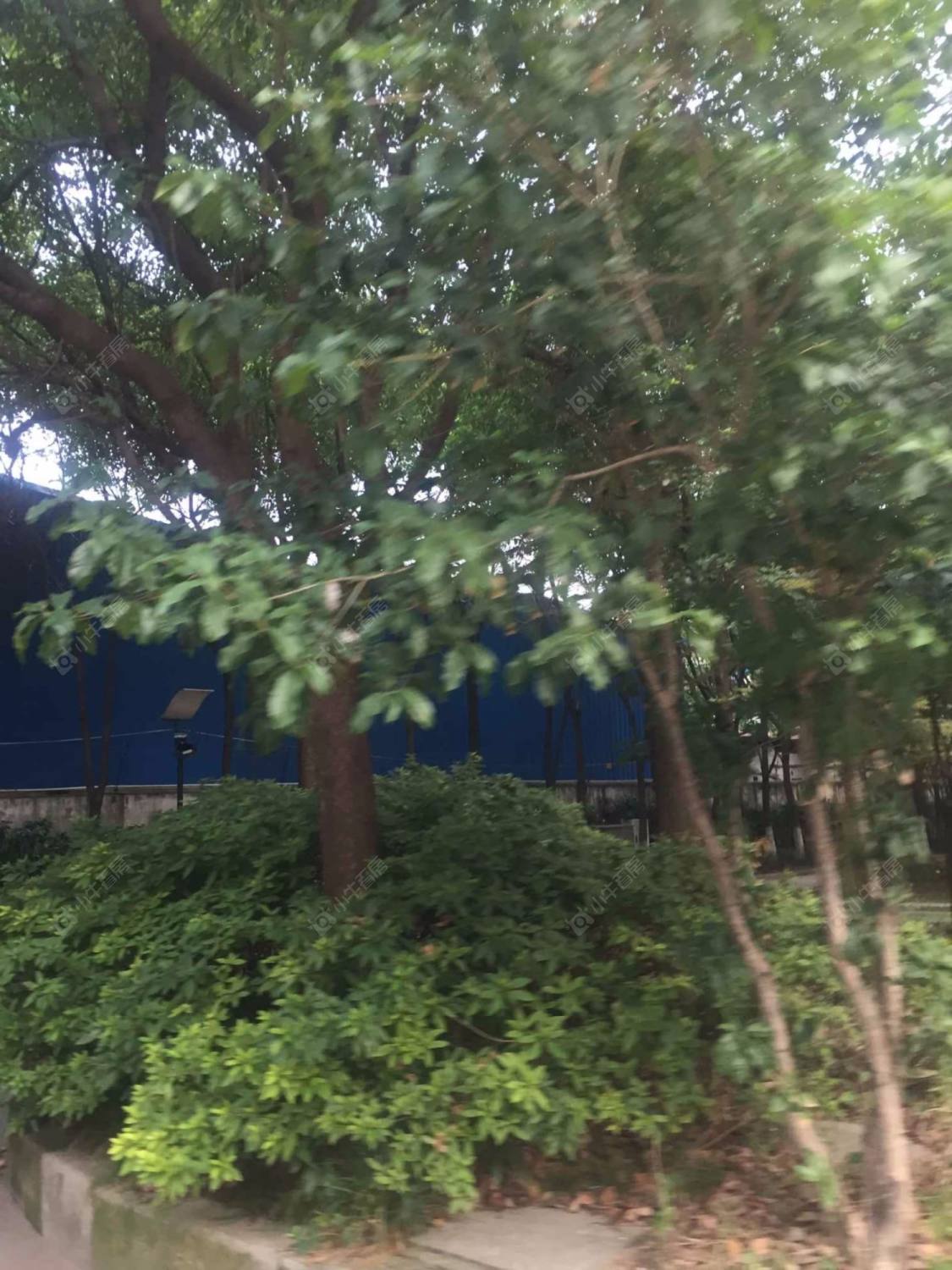 上海紫逸佳苑小区_紫逸佳苑小区null