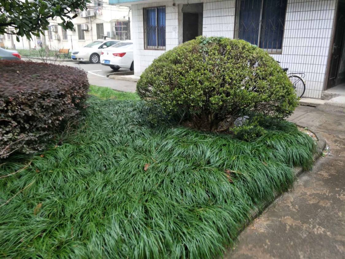 上海富民街小区小区_富民街小区小区null