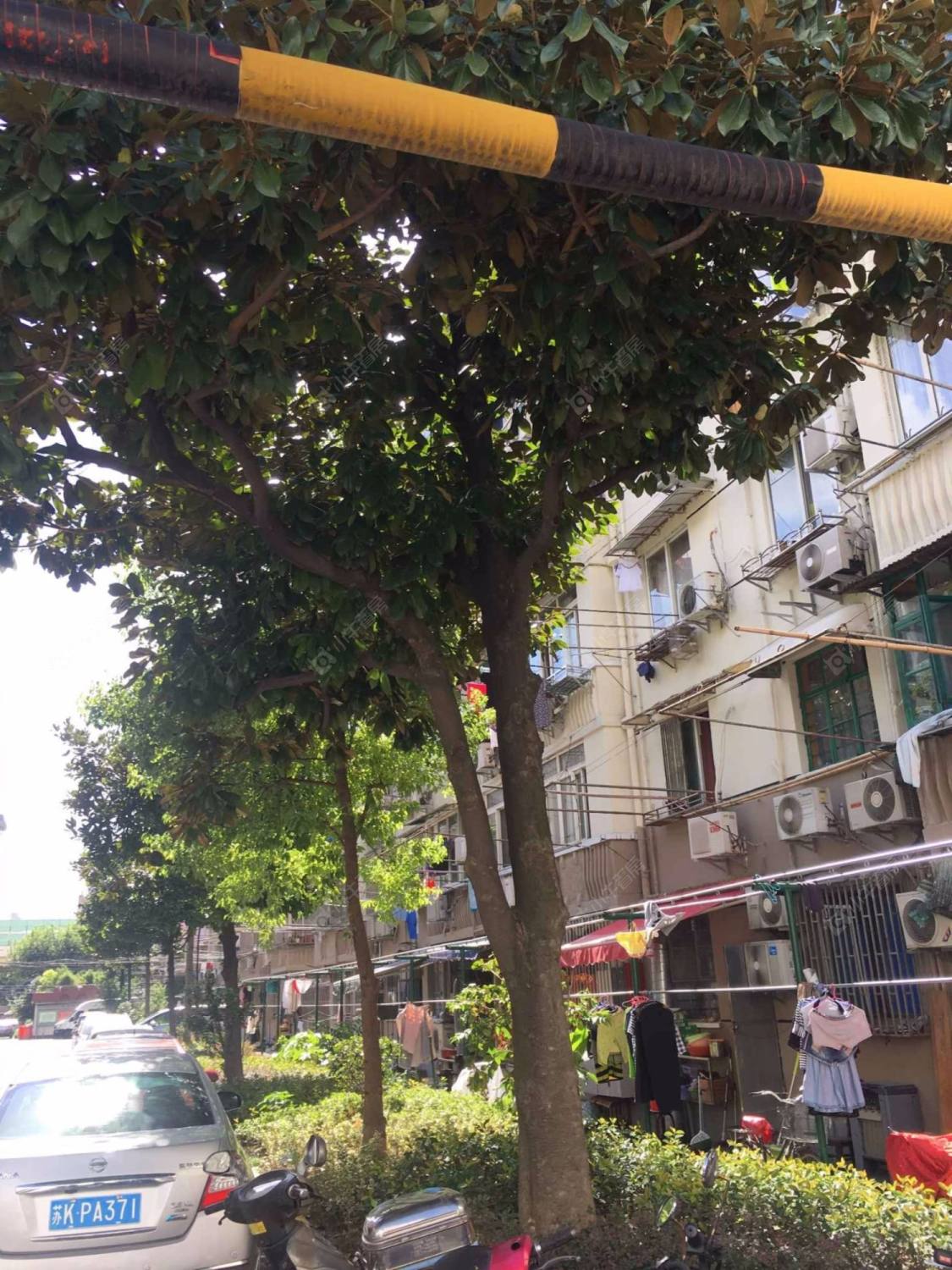 上海延新小区小区_延新小区小区null