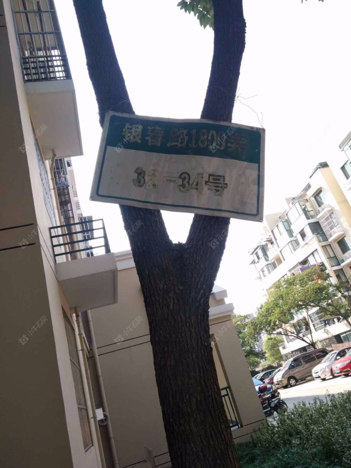 上海飞碟苑小区_飞碟苑小区null