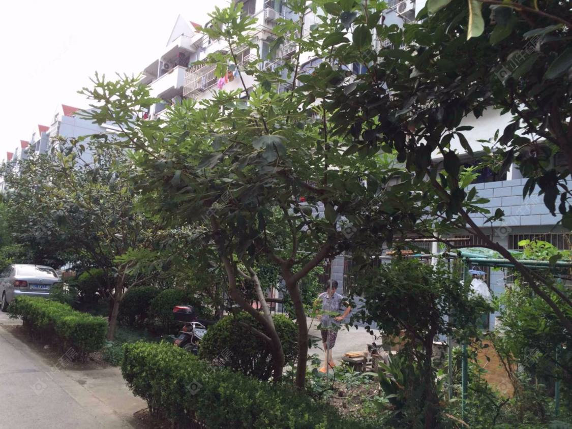 上海敦化路3弄小区_敦化路3弄小区null