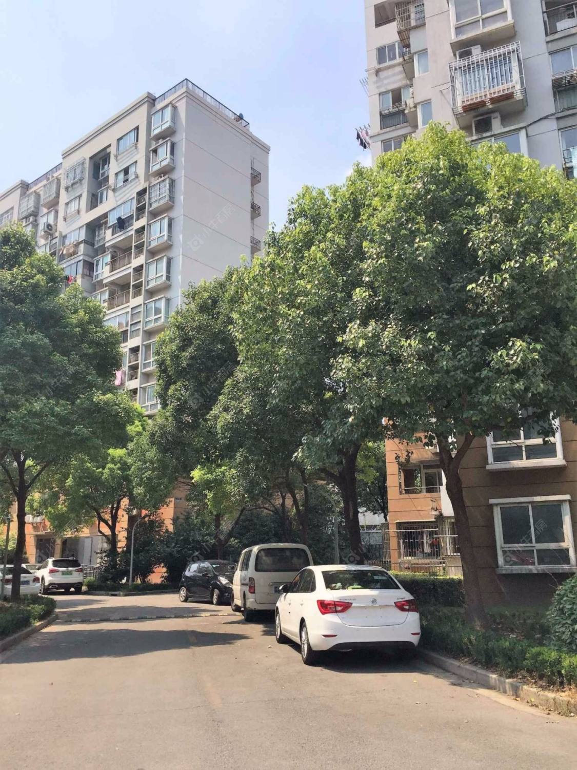 上海采菊苑小区_采菊苑小区null