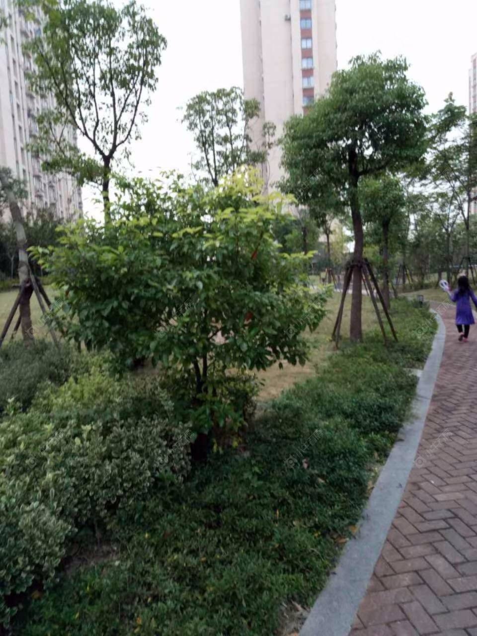 上海美罗家园宝欣苑四村小区_美罗家园宝欣苑四村小区null