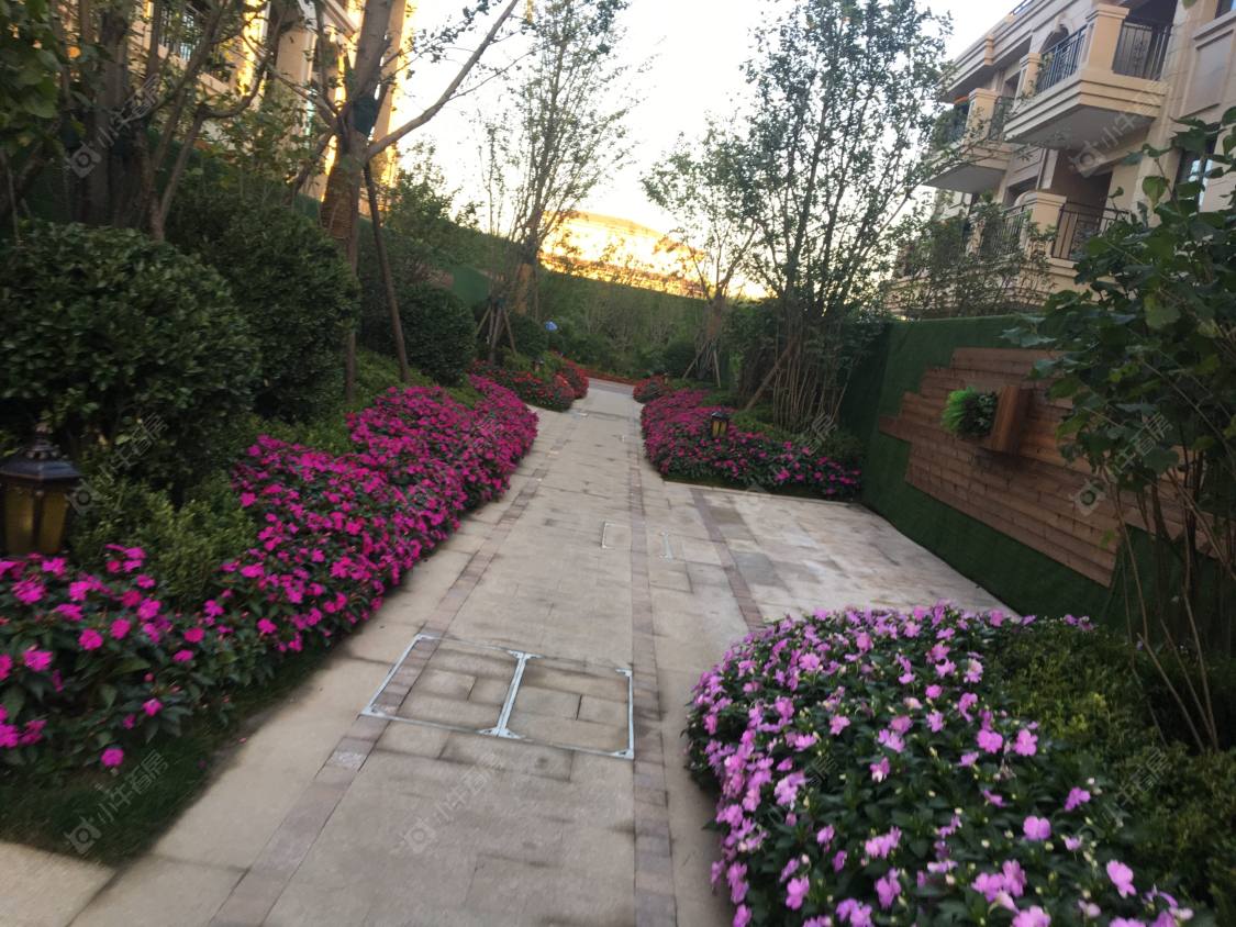 上海东海御庭小区_东海御庭小区null