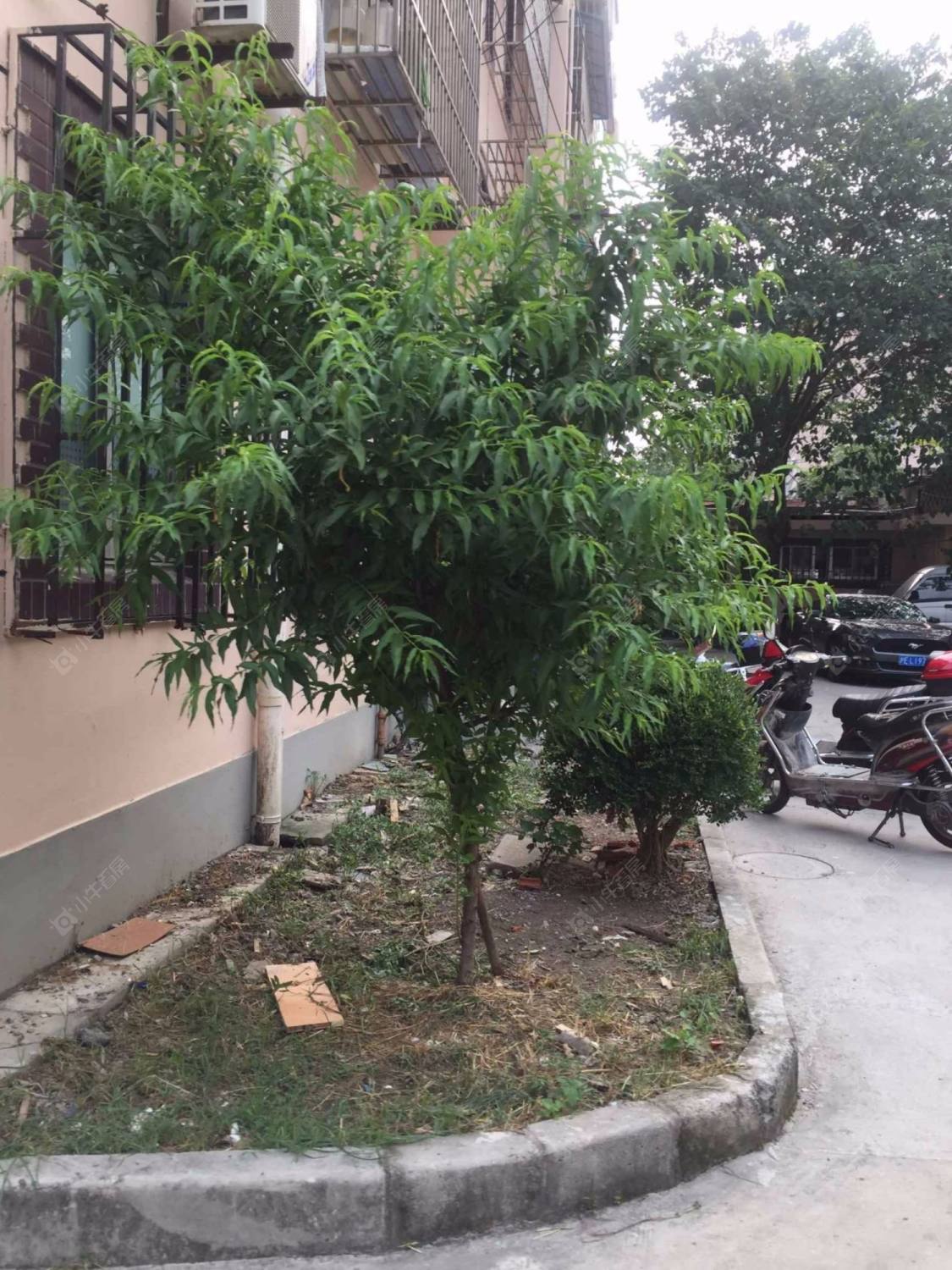 上海国权北路413弄小区_国权北路413弄小区null