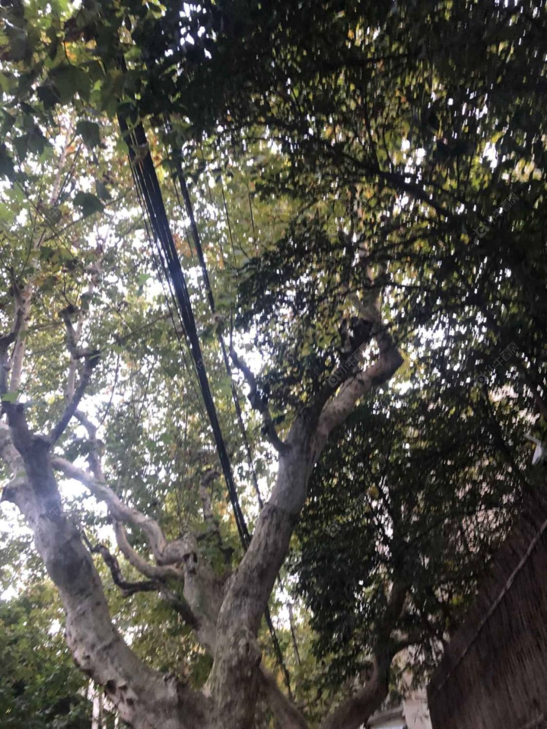 上海协发公寓小区_协发公寓小区null