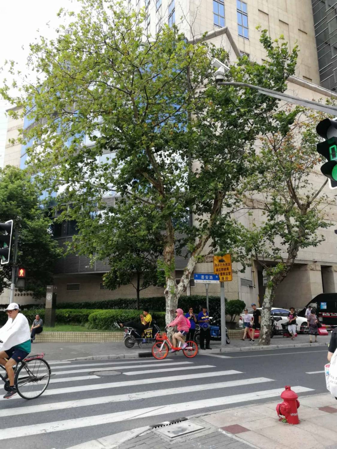 上海淮海大厦小区_淮海大厦小区null