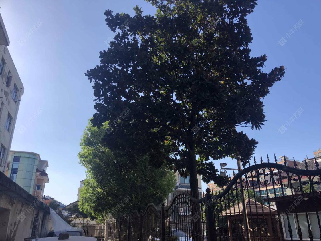 上海新北街306弄小区_新北街306弄小区null