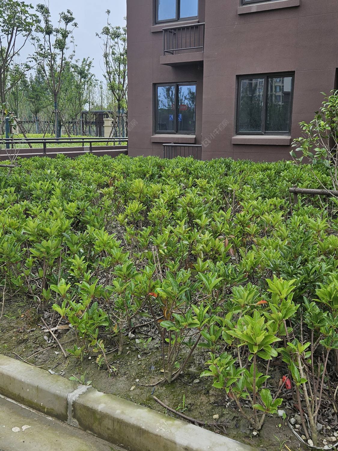 上海凌润苑小区_凌润苑小区null