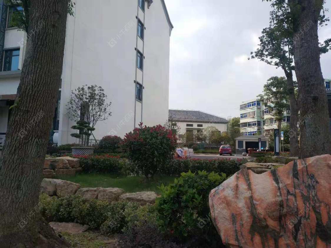 上海泗泾绿中海小区_泗泾绿中海小区null