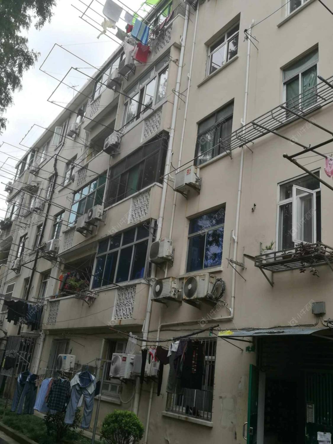 上海莘建路230弄小区_莘建路230弄小区null