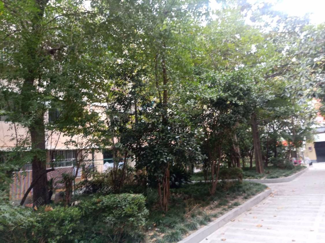 上海襄阳南路499弄小区_襄阳南路499弄小区null