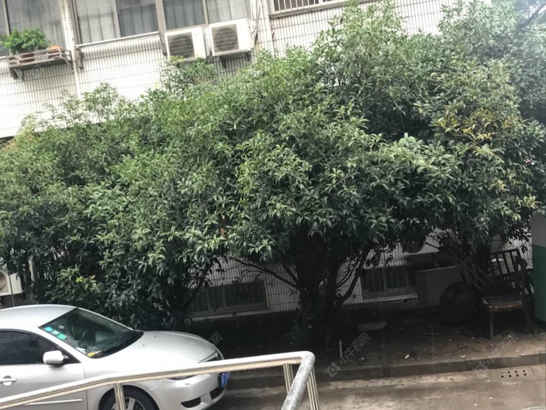 海厦小区封面图_小牛看房