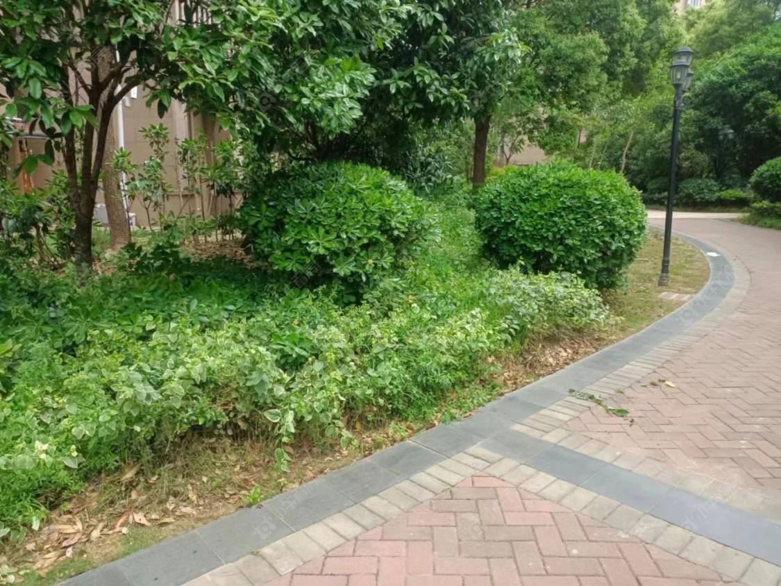 上海民乐城泓瀚苑小区_民乐城泓瀚苑小区null