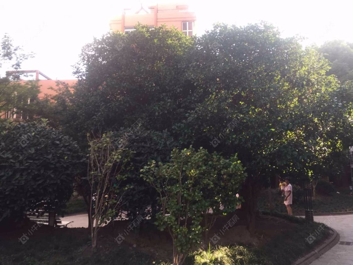 上海新红厦公寓小区_新红厦公寓小区null