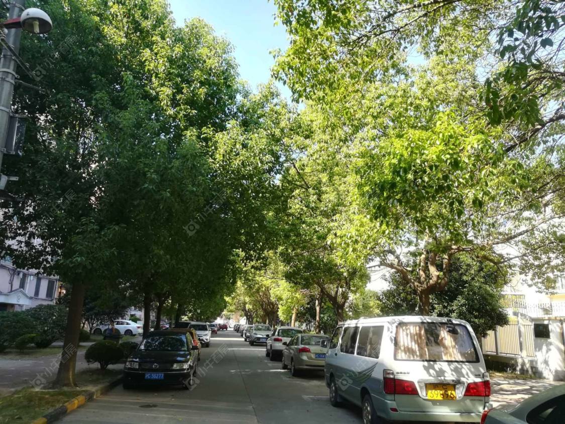 上海辰凯花苑小区_辰凯花苑小区null