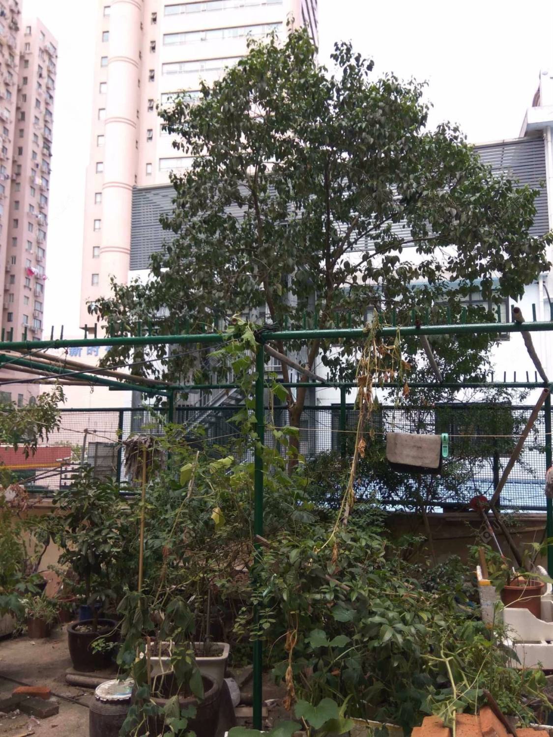 上海胶州路319弄小区_胶州路319弄小区null