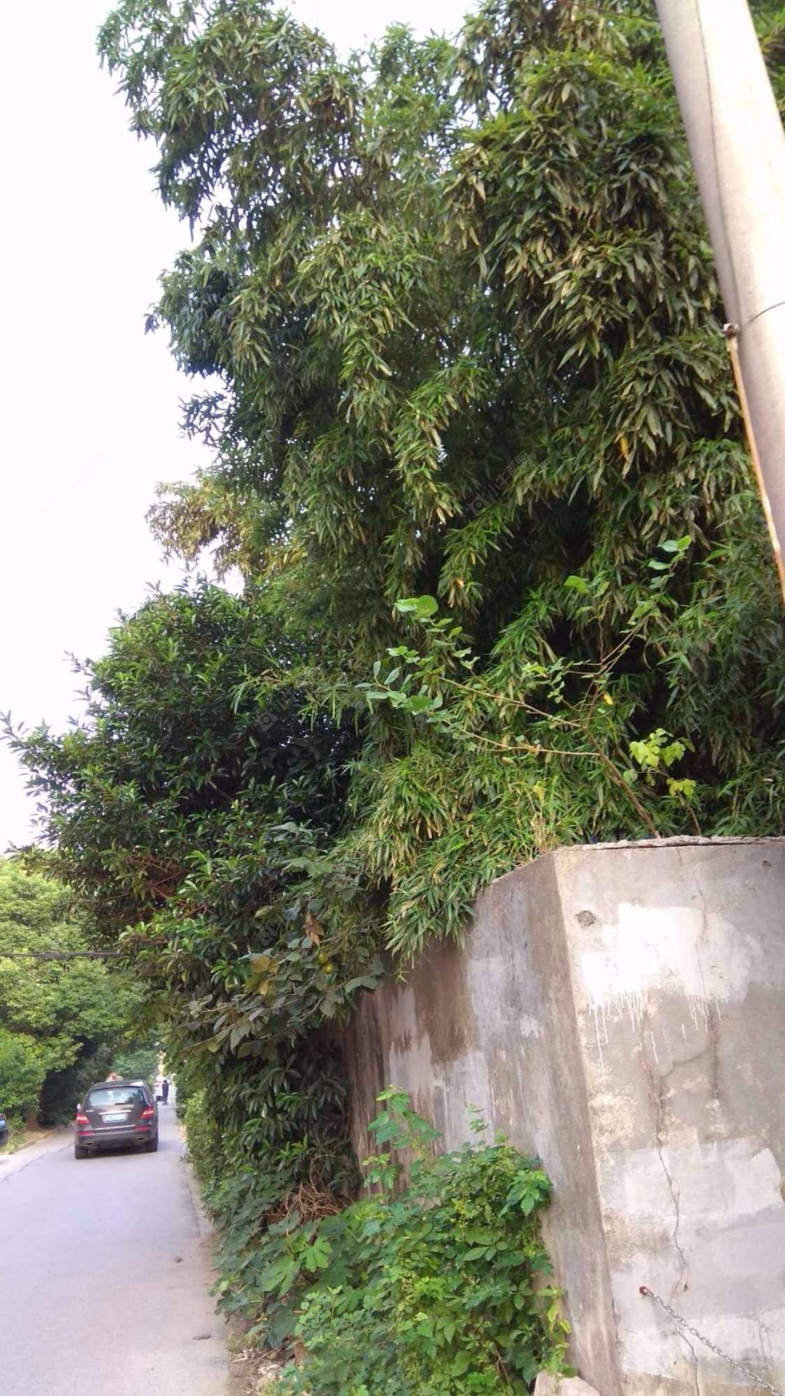 上海福汇一村小区_福汇一村小区null