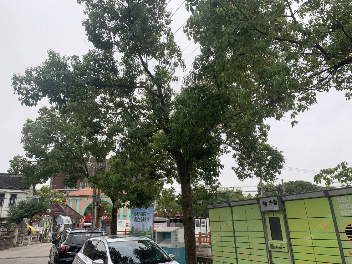 上海龙庄苑小区_龙庄苑小区null