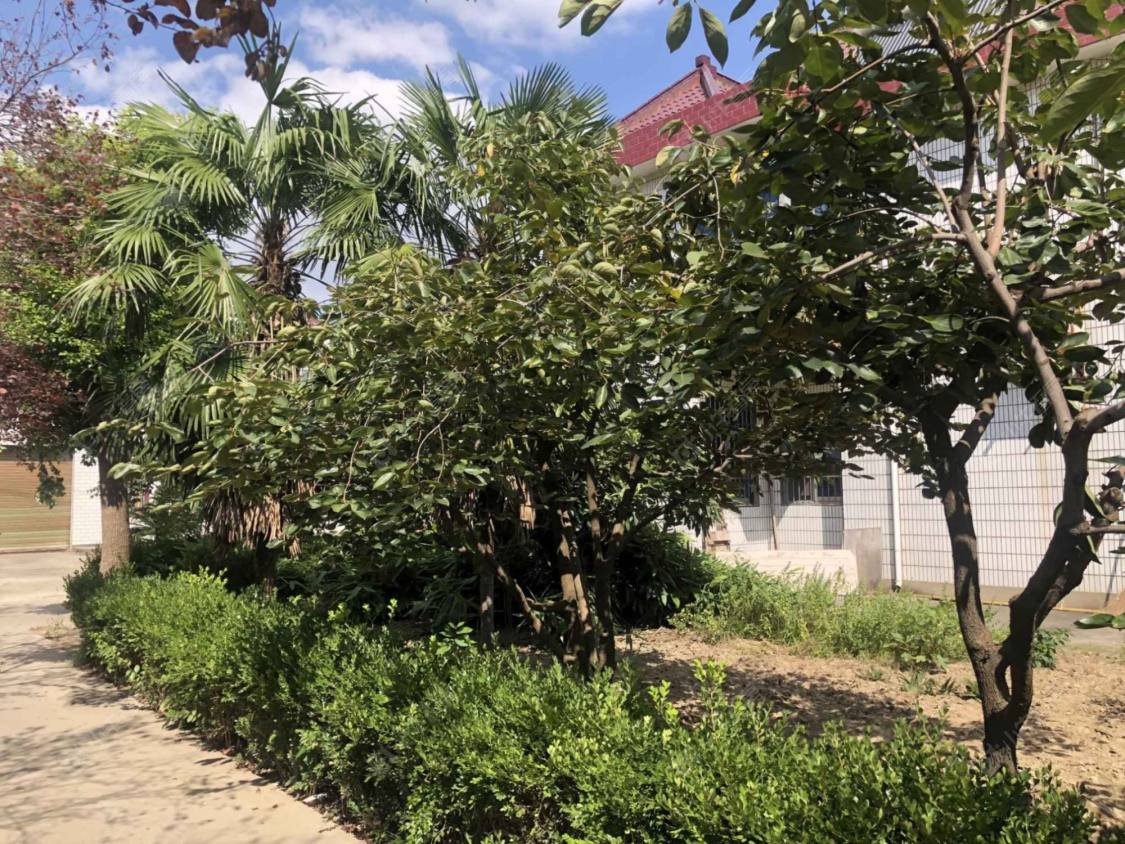 上海华庄中心村小区_华庄中心村小区null