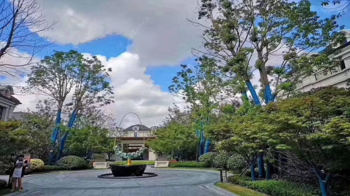 上海联洋商务别墅小区_联洋商务别墅小区null