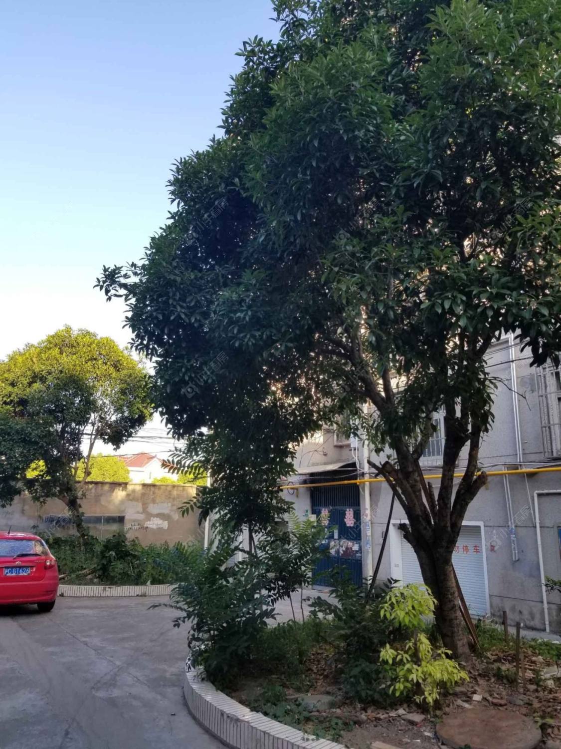 上海申云小区小区_申云小区小区null