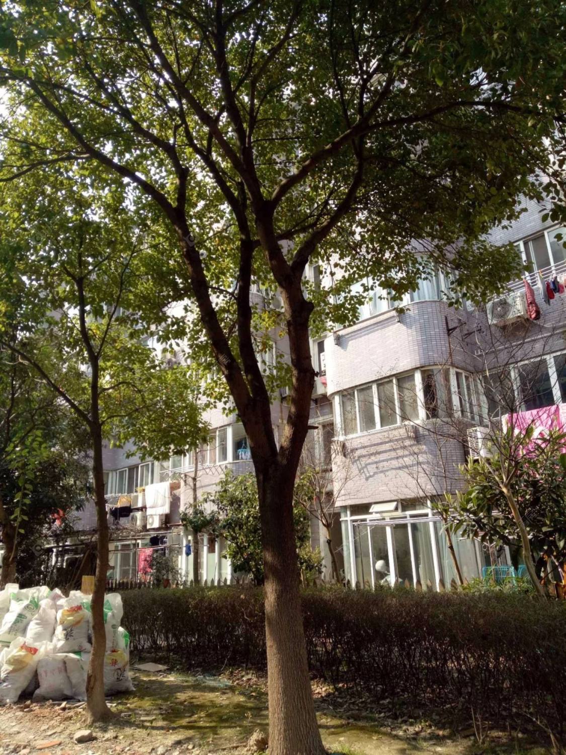 上海东方御花园一期小区_东方御花园一期小区null