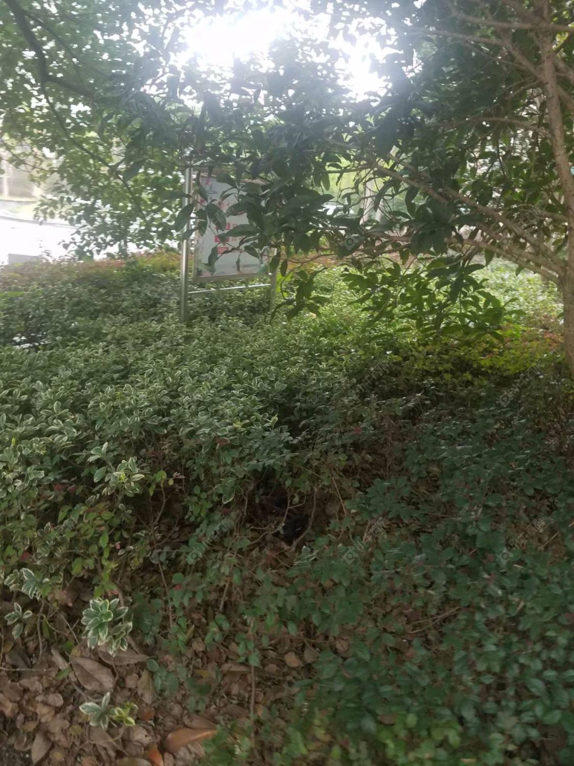 上海现代华庭二期小区_现代华庭二期小区null