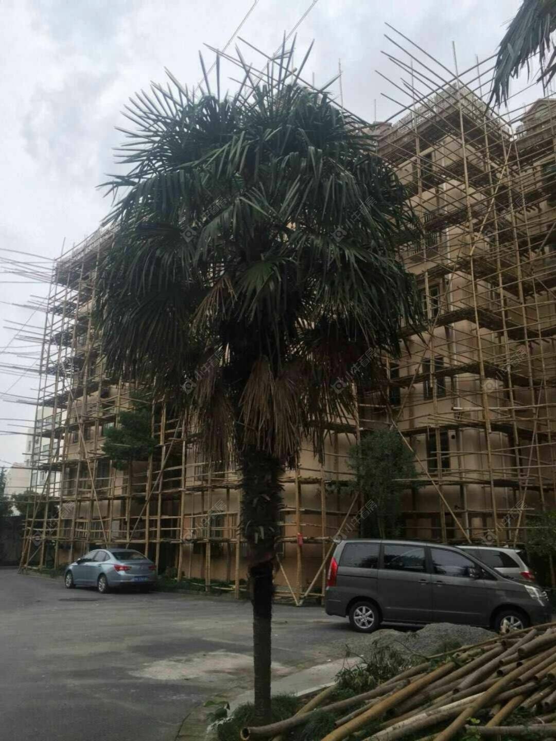 上海莘松七村小区_莘松七村小区实景图