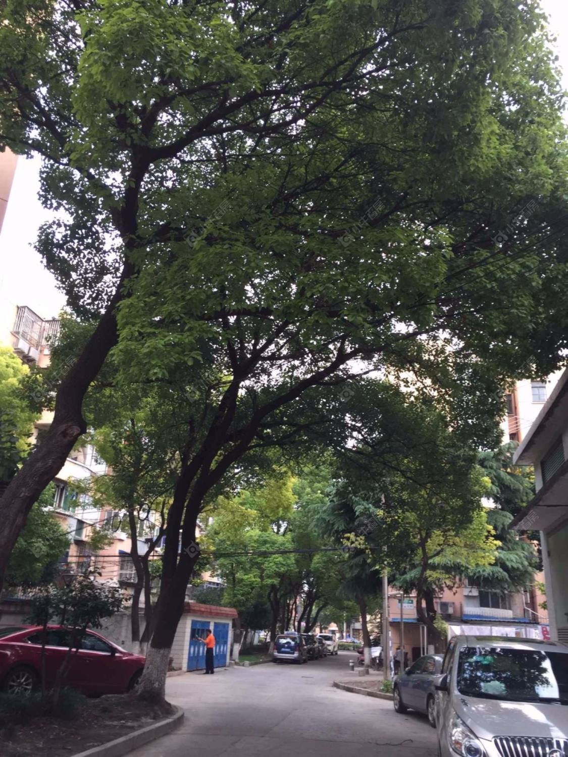 上海临江三村小区_临江三村小区null