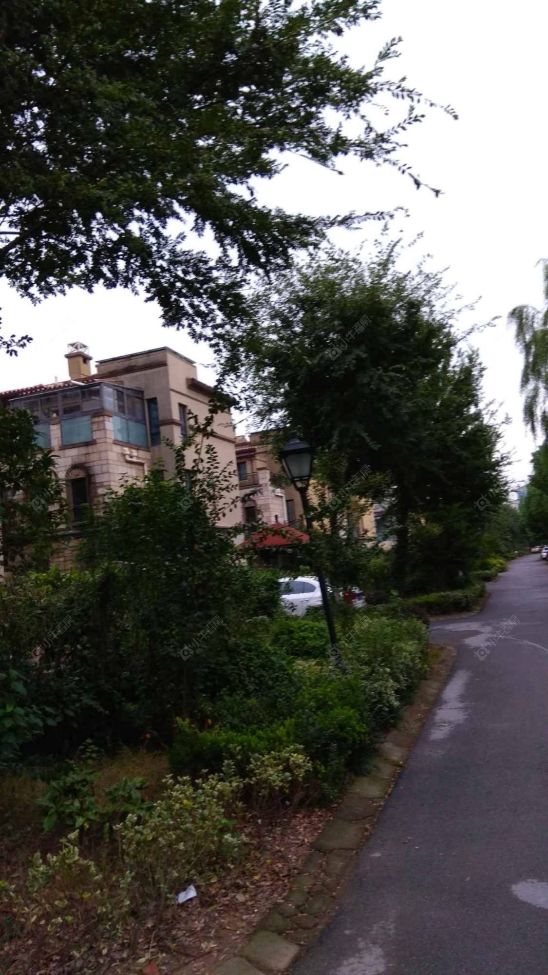 上海布鲁斯小镇一期小区_布鲁斯小镇一期小区null