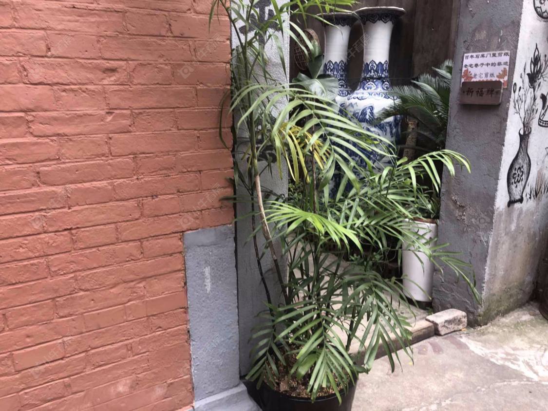 上海建国中路137弄小区_建国中路137弄小区实景图