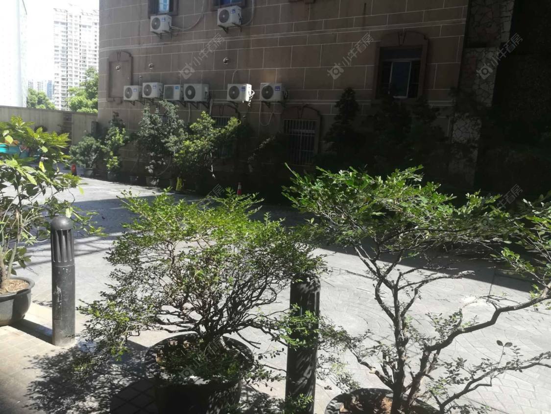 上海维多利广场小区_维多利广场小区实景图