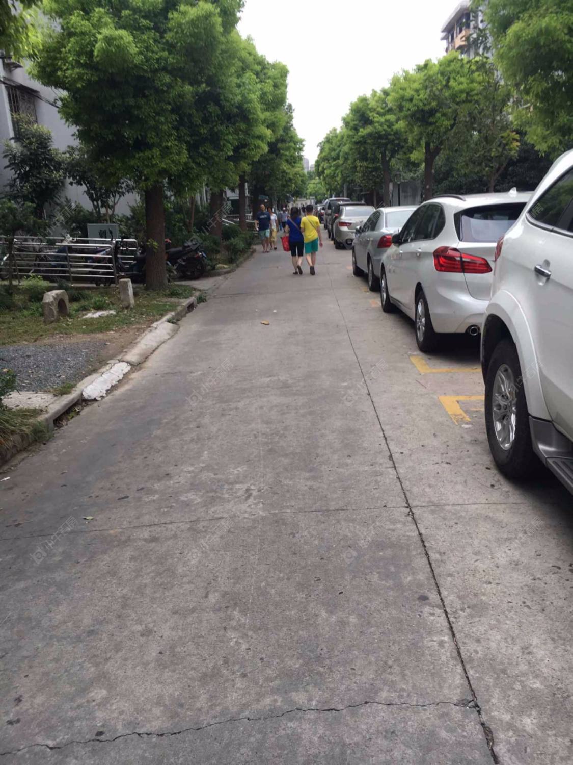 上海玉兰小区小区_玉兰小区小区null